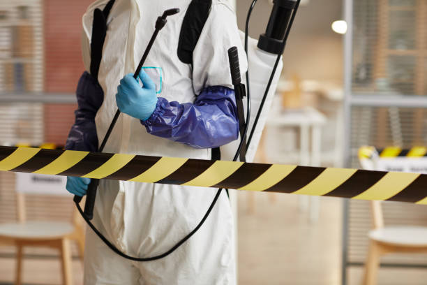 Professional Sewage Cleanup technician working in Black Diamond, FL